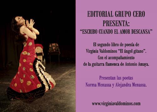 28062014presentacion_libro_virginia_trasera